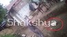 कछुए को मारकर ग्रामीणों ने उसका मांस खाया.(Photo:screengrab)