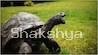 194-year-old-jonathan-tortoise-longevity-secret-and-life